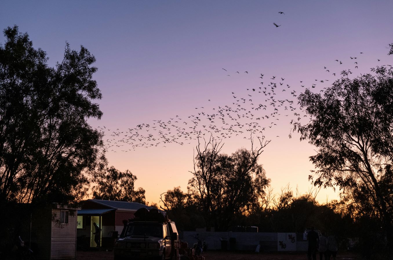 Perth Outback Adventure